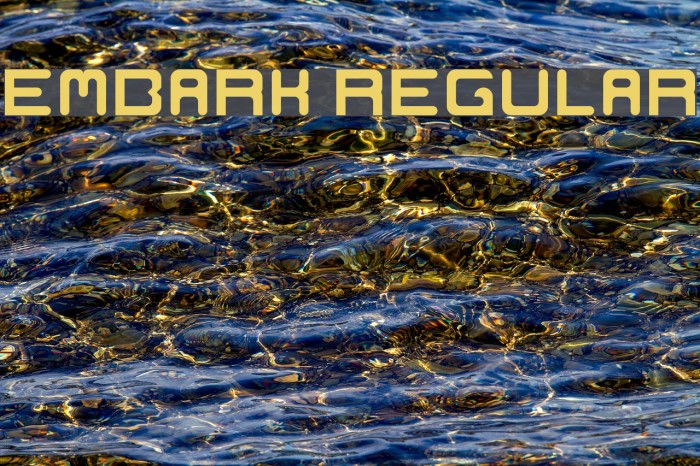 Embark Regular Font examples