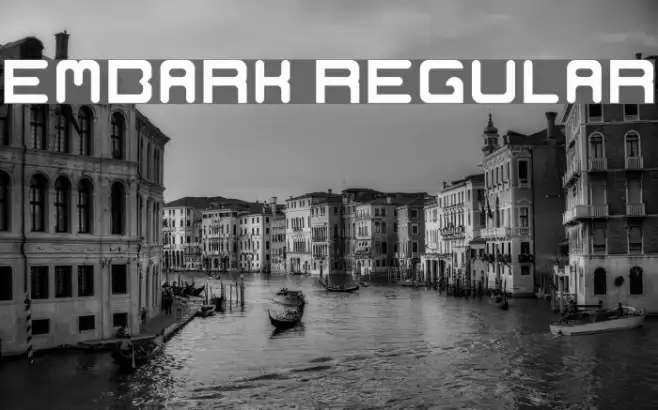 Embark Regular Example 2