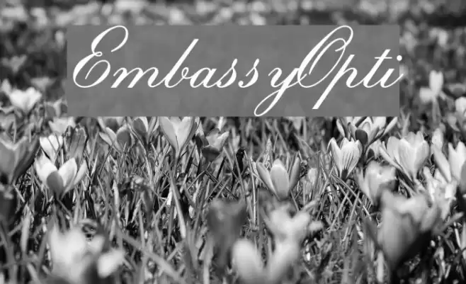 EmbassyOpti Font examples