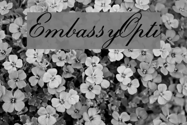 EmbassyOpti Font examples