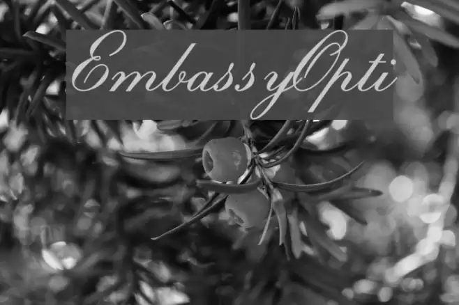 EmbassyOpti Font examples