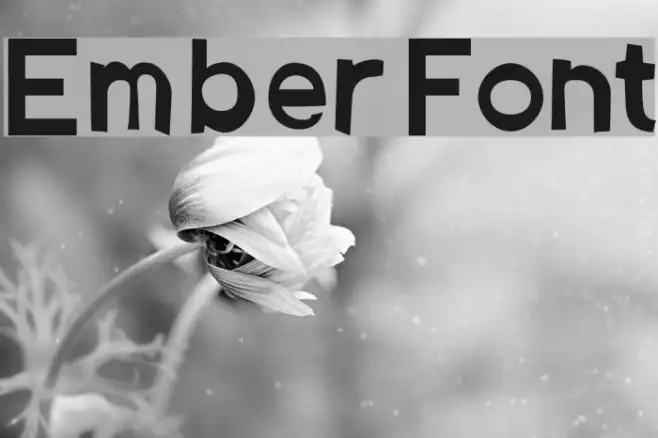 Ember Example 2
