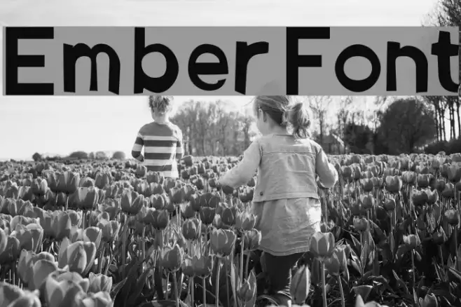 Ember Example 3