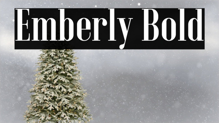 Emberly Bold Font examples