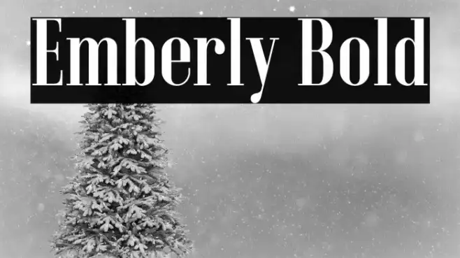 Emberly Bold Example 1