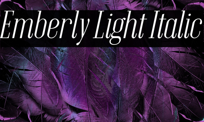 Emberly Light Italic Font examples