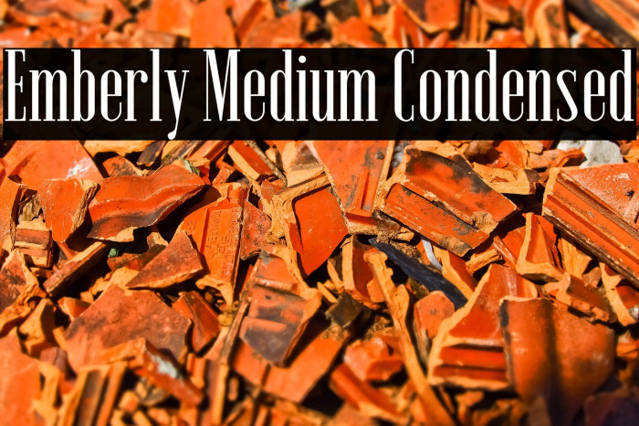 Emberly Medium Condensed Example 1