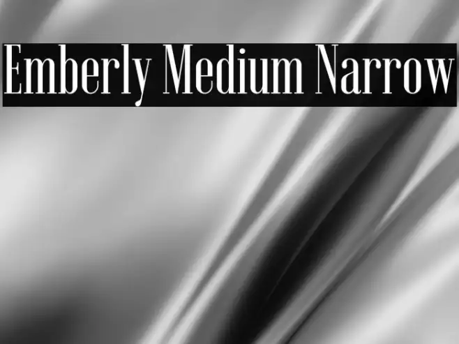 Emberly Medium Narrow Example 1