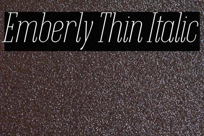 Emberly Thin Italic Example 1