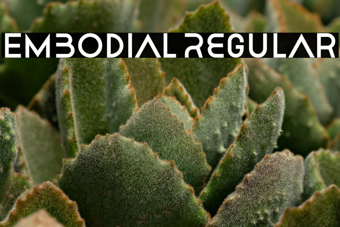 Embodial Regular Example 2