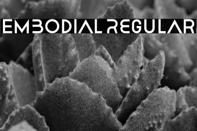 Embodial Regular Example 2
