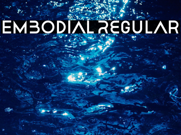 Embodial Regular Example 3