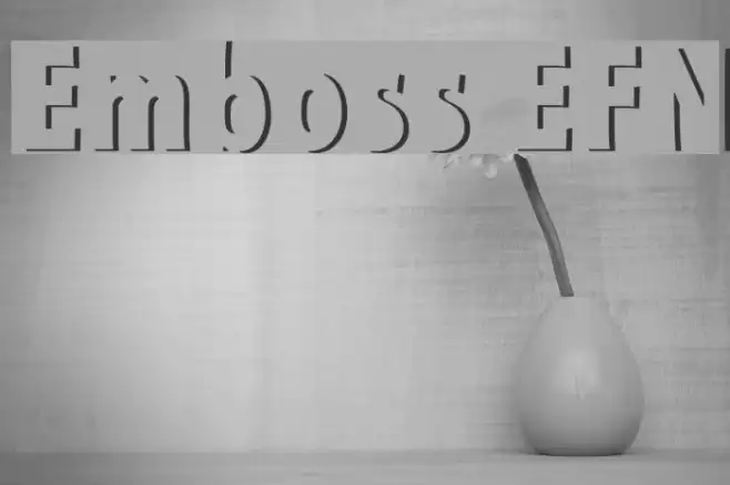 Emboss EFN Example 1