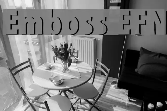 Emboss EFN Example 2