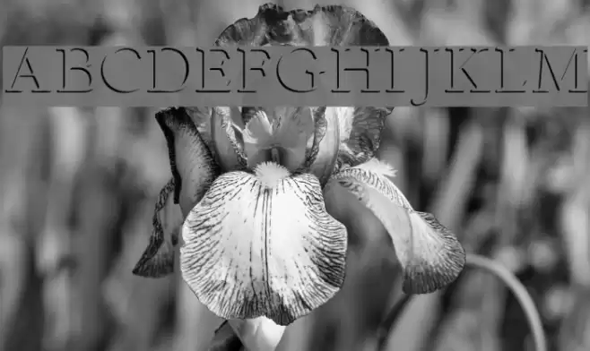 Emboss-Normal Font examples