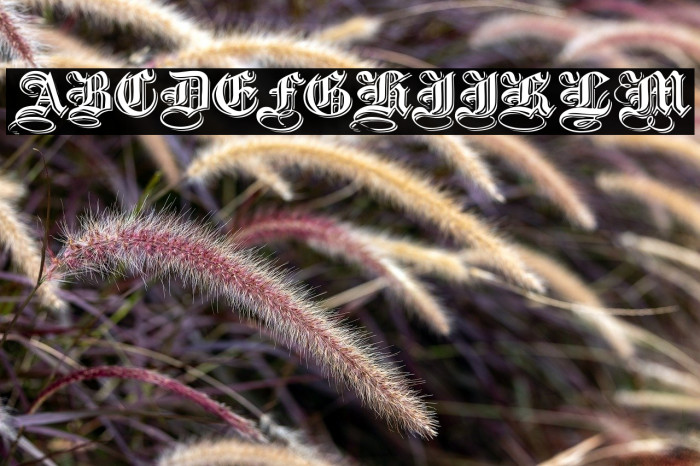 Embossed Black Wide خط examples