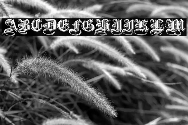 Embossed Black Wide Example 3