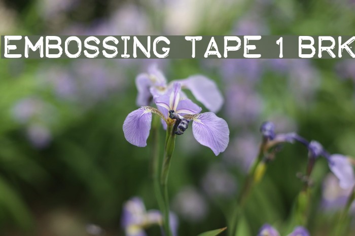 Embossing Tape 1 [BRK] Example 2