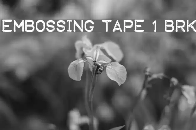 Embossing Tape 1 [BRK] Font examples
