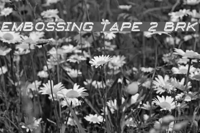Embossing Tape 2 [BRK] Шрифта examples