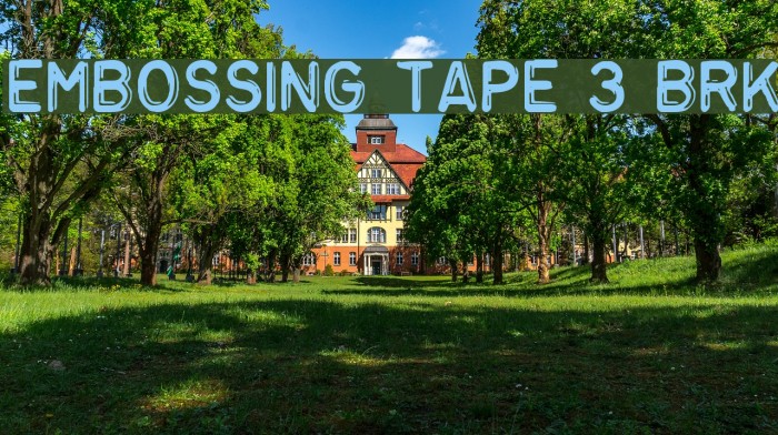 Embossing Tape 3 BRK Font examples
