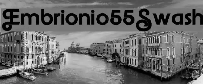 Embrionic55Swash Example 1