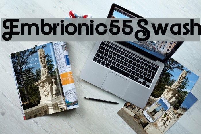Embrionic55Swash Font examples