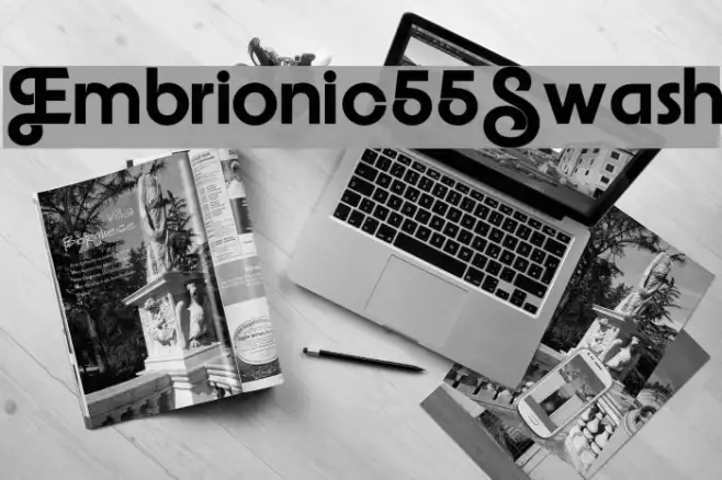Embrionic55Swash Example 2