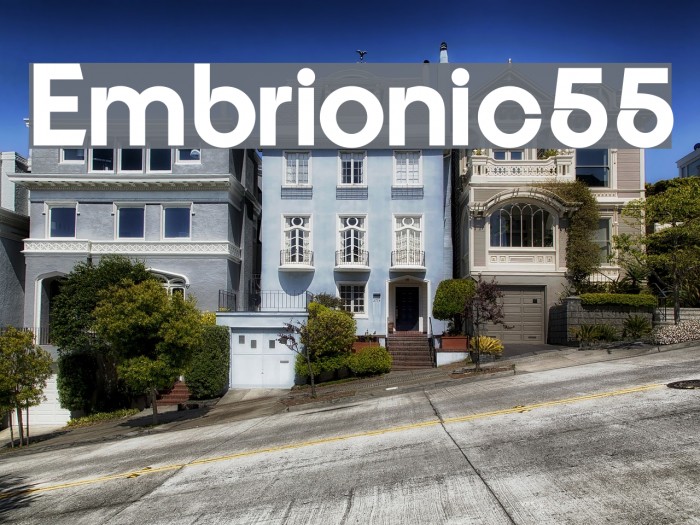 Embrionic55 Font examples