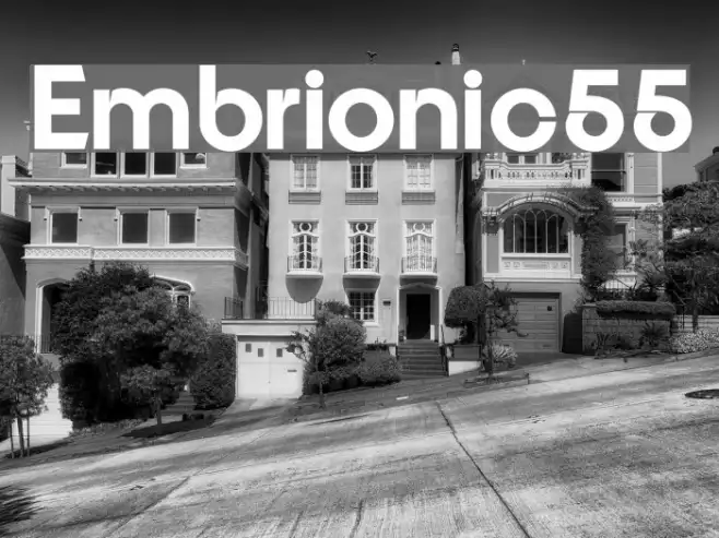 Embrionic55 Example 1