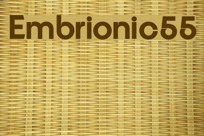 Embrionic55 Font examples