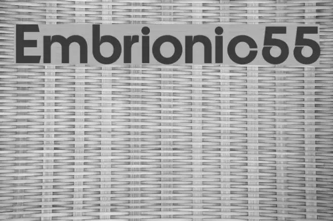 Embrionic55 Example 2