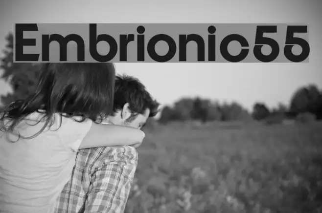 Embrionic55 Example 3