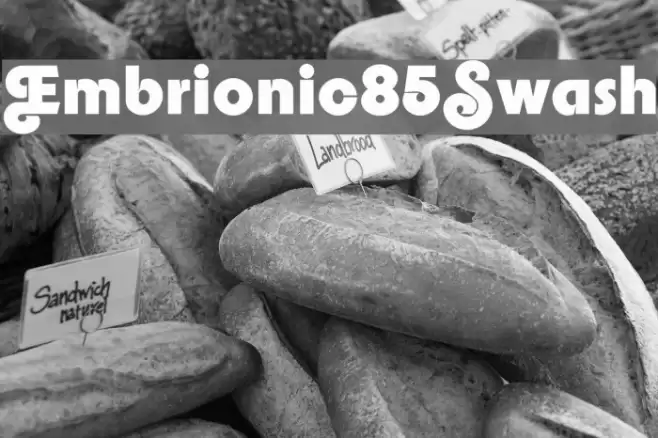 Embrionic85Swash Font examples