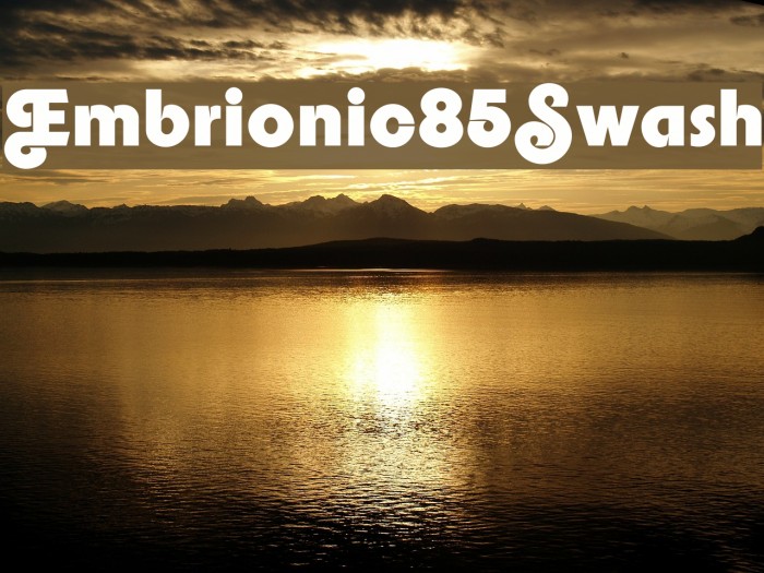 Embrionic85Swash Font examples