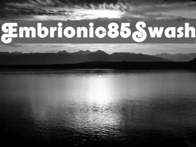 Embrionic85Swash Font examples
