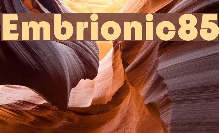 Embrionic85 Font examples