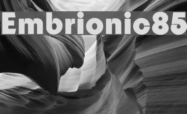 Embrionic85 Example 1