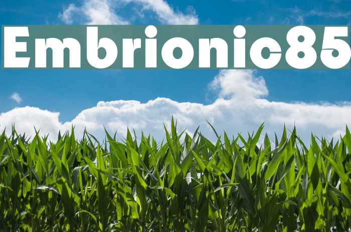 Embrionic85 Font examples