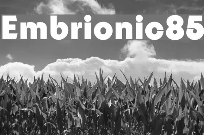 Embrionic85 Example 2