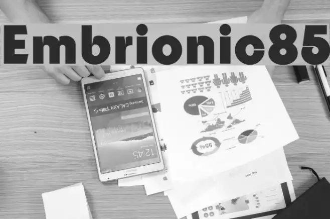 Embrionic85 Example 3