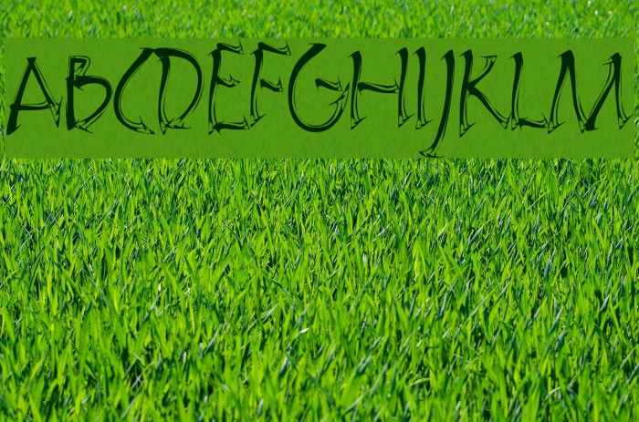Embrush Font examples