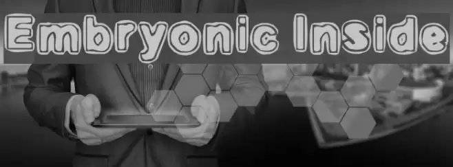 Embryonic Inside Fonte examples
