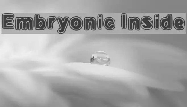 Embryonic Inside Fonte examples