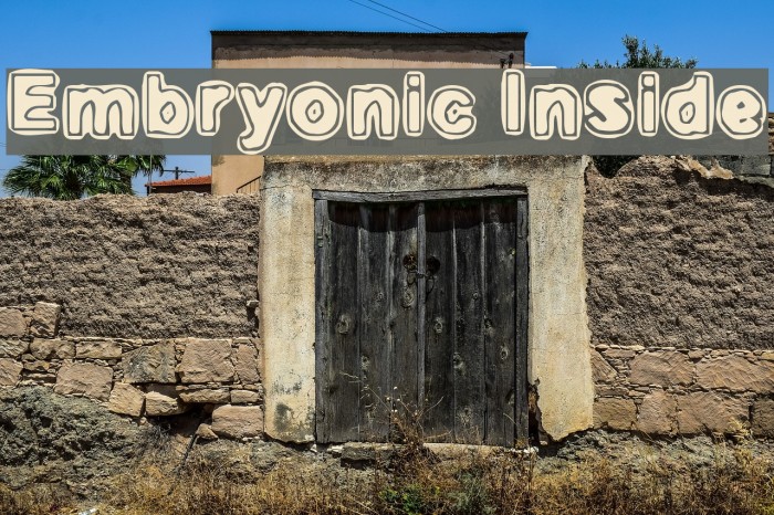 Embryonic Inside Font examples