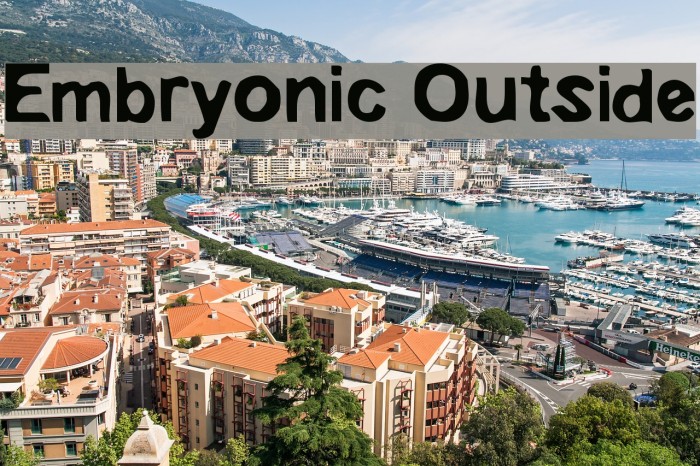 Embryonic Outside Polices examples