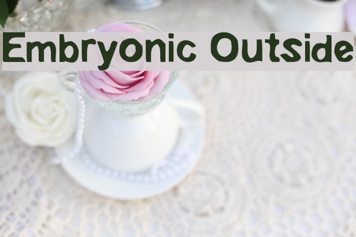 Embryonic Outside Polices examples