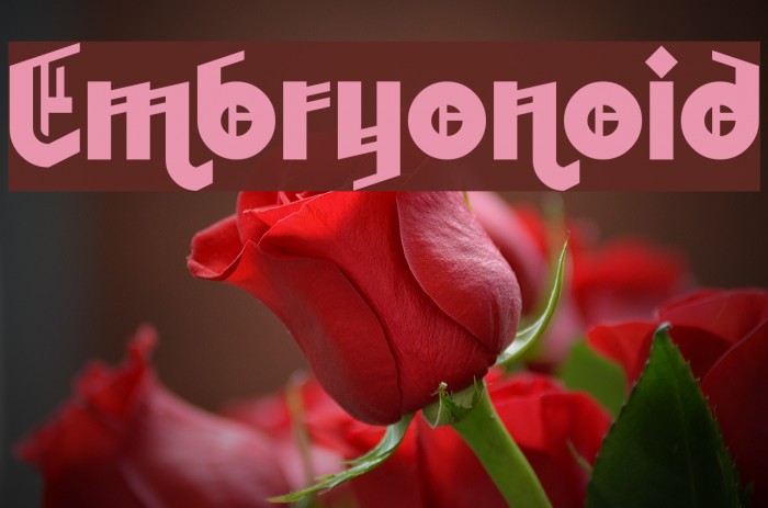 Embryonoid Font examples