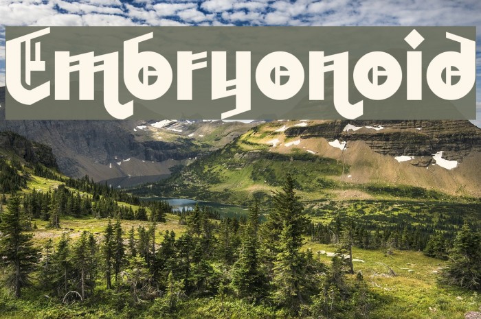Embryonoid Font examples