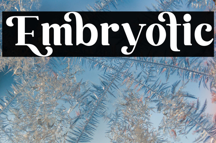Embryotic Example 1